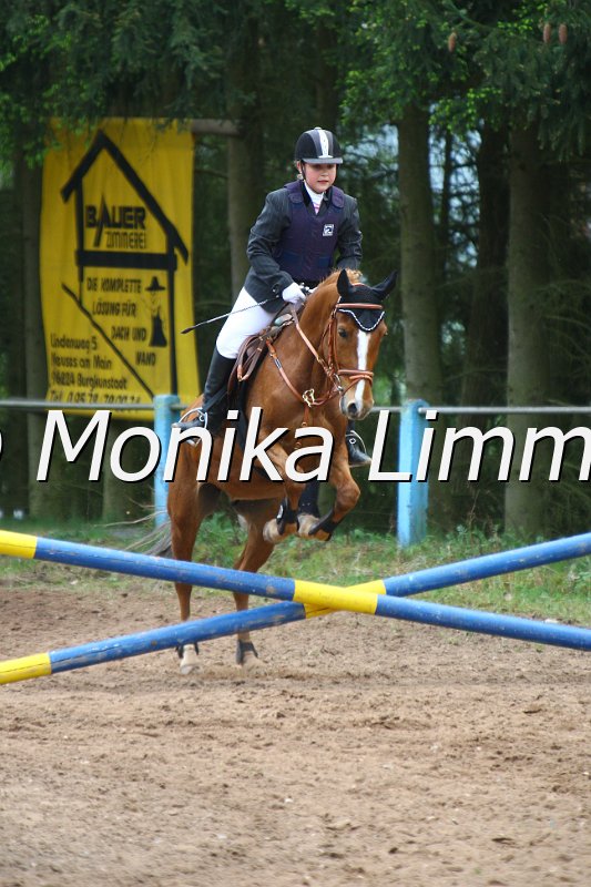 005L3634_Divinjo_Springreiter WB.JPG